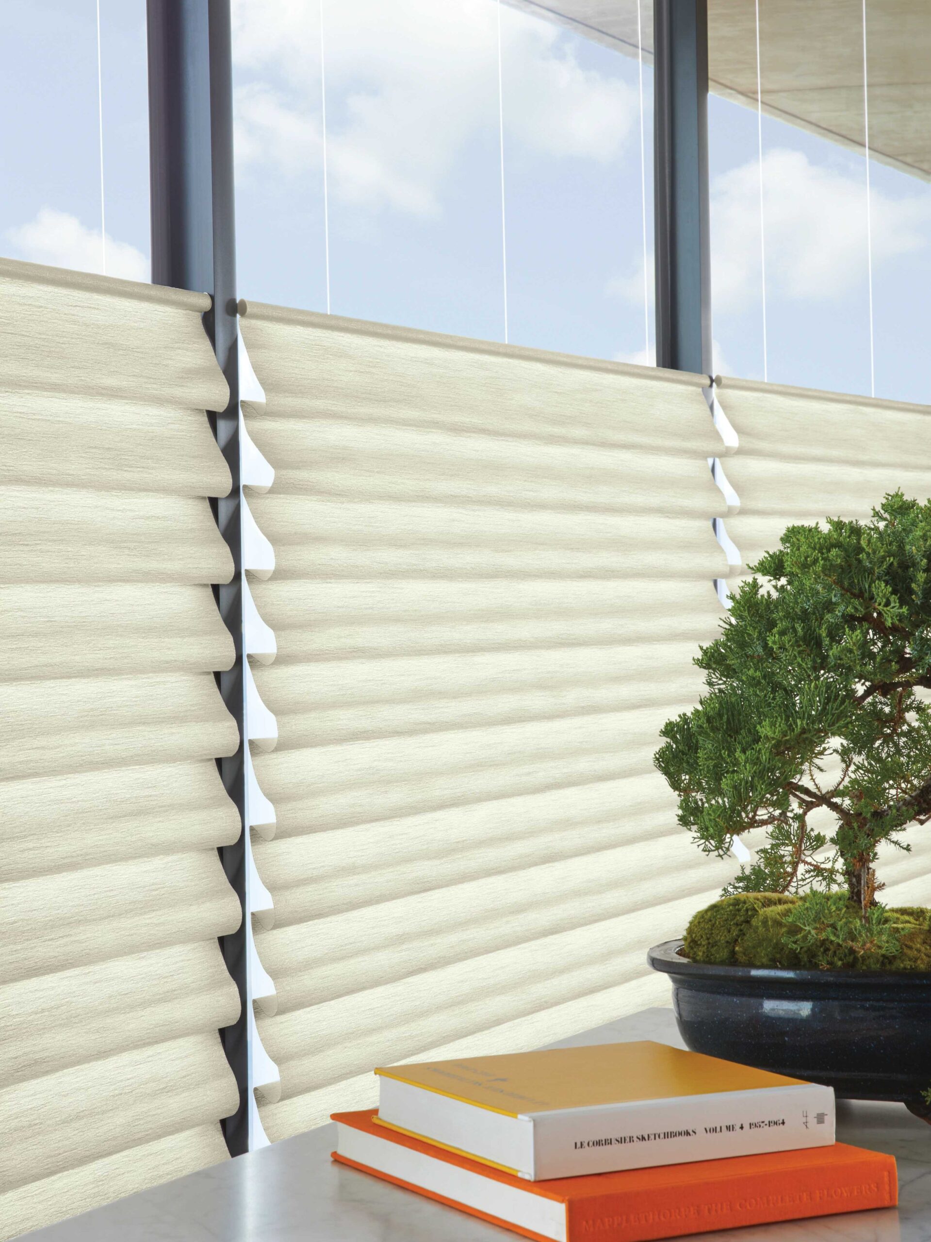roman blinds victoria