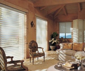 2012_PIR_ER_Shantung_LvgRm