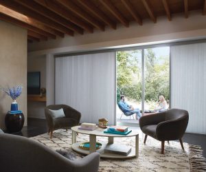 2018_DU_VG_PV_SS_IndiaSilk_LivingRoom_Talent